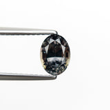 1.20ct 6.92x5.14x4.14mm Oval Brilliant Sapphire 21565-01